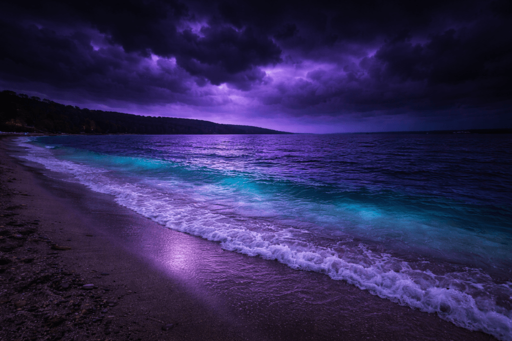 CRAZY OCEANS