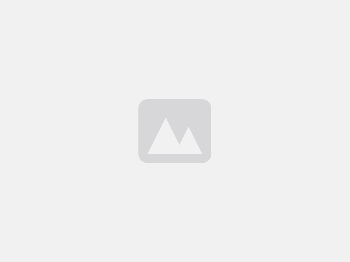 A standard placeholder icon representing a missing image or file content.